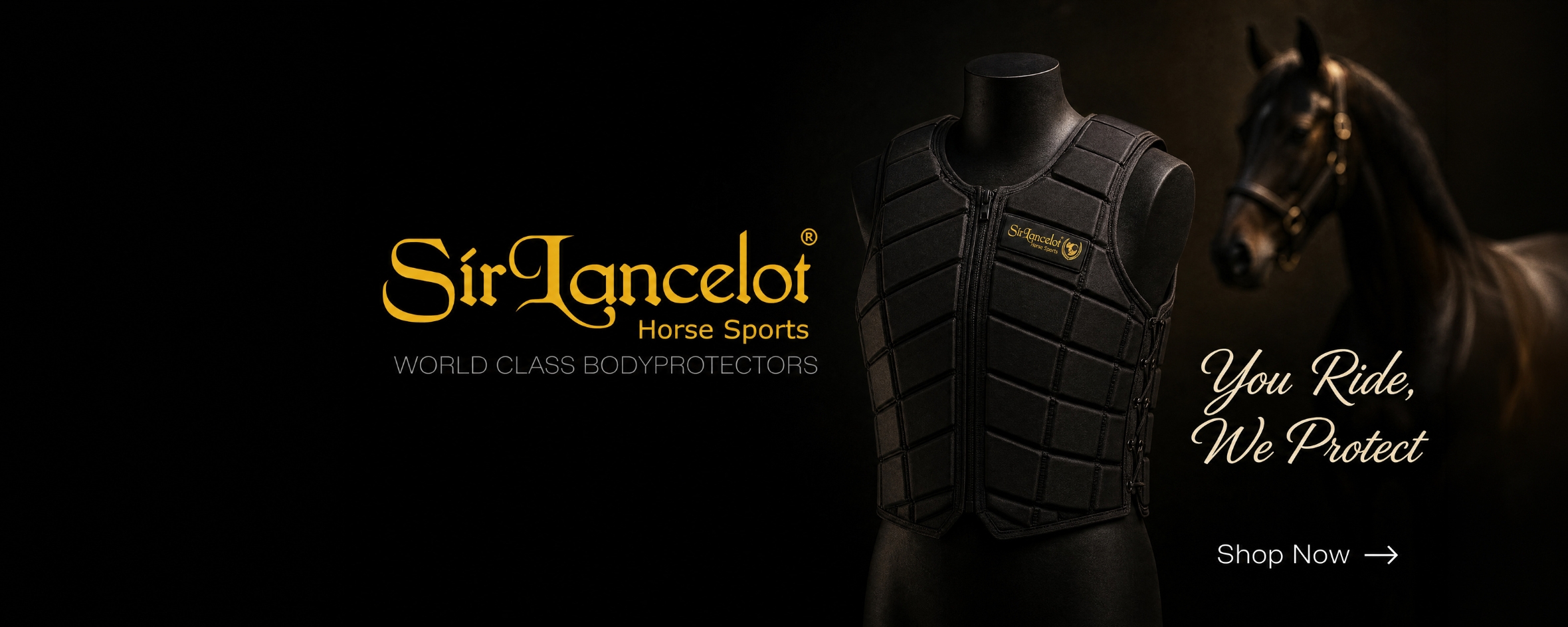 Sir Lancelot