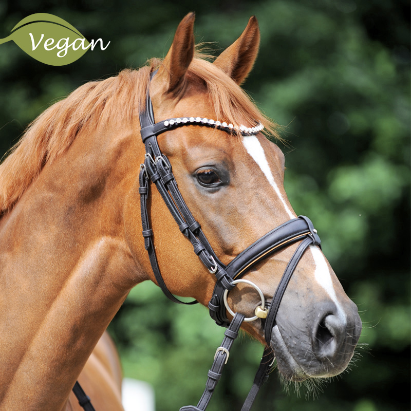 Vegan cork bridle "Cortica" english nb. with flash
