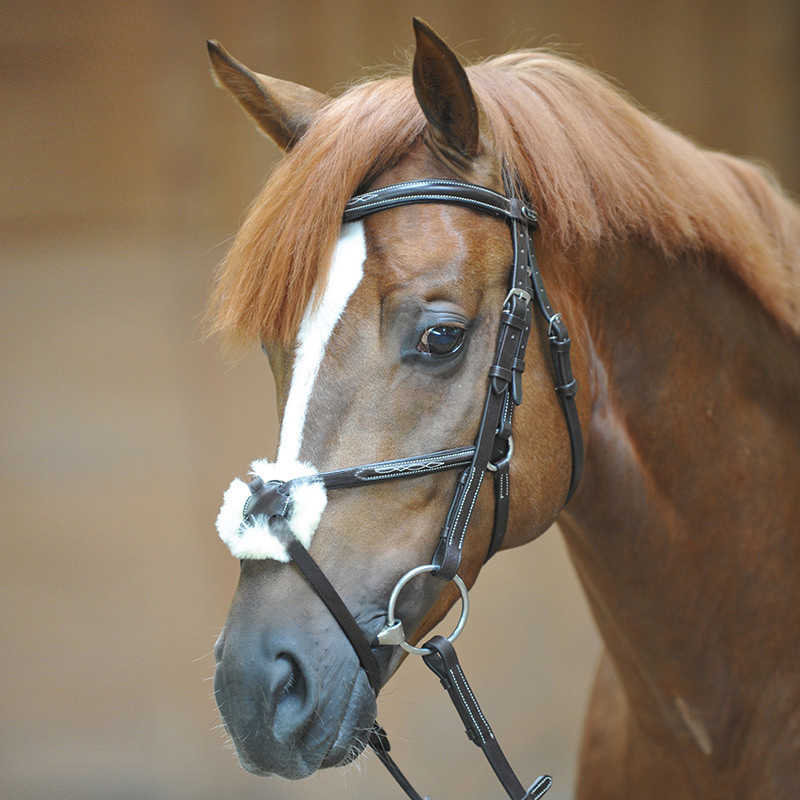 Bridle "Diandro" mexican nb.