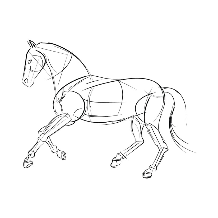 Dressursattel "Titania" - Create your own saddle!